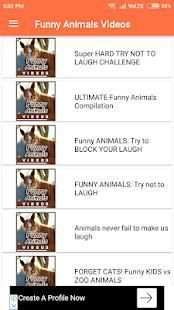 Funny Animal Compilation Videos screenshot 2