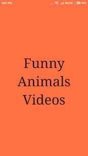 Funny Animal Compilation Videos screenshot 3