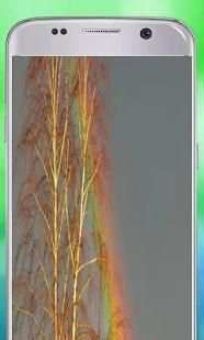 huji cam effeck screenshot 1
