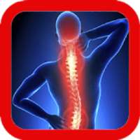 Back Pain Exercise on 9Apps