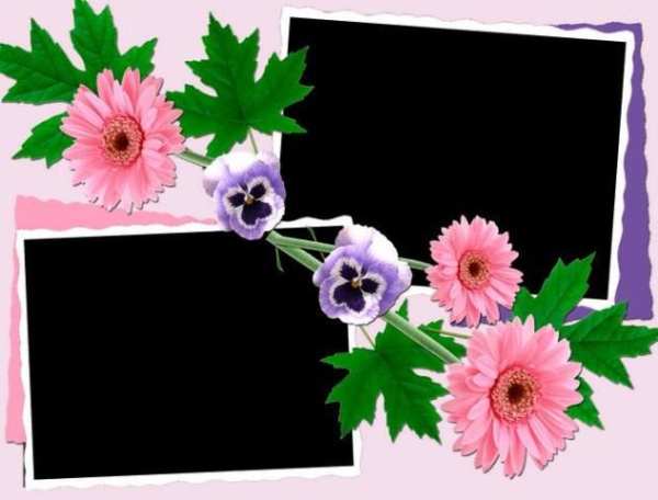 Cute Flowers Photo Frames screenshot 5
