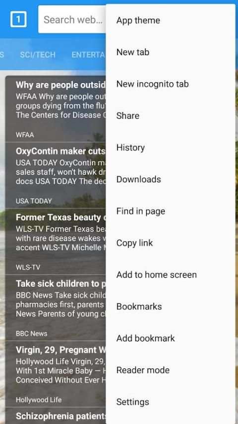 Open Browser screenshot 2