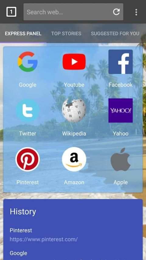 Open Browser screenshot 1