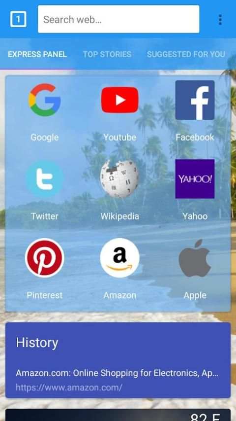 Open Browser screenshot 5