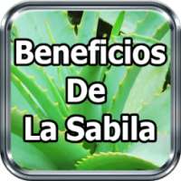 Beneficios De La Sabila Y Remedios Caseros Gratis