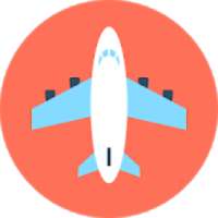 FlyFlights - Google Flights