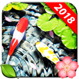 Fish Live Wallpaper Koi Pond Aquarium icon