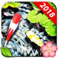 Fish Live Wallpaper Koi Pond Aquarium on 9Apps