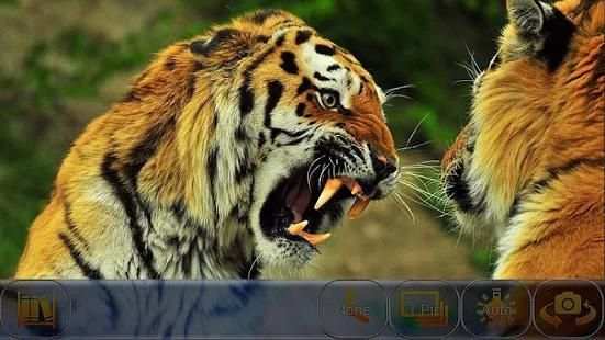 DSLR HD Camera Full - Ultra HD screenshot 22