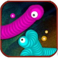 Worms Zone Zona cacing