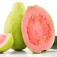 Benefits of Guava