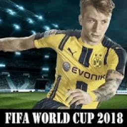 FIFA WORLD CUP 2018  16