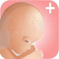 Pregnancy Plus + on 9Apps