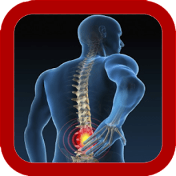 Back Pain Exercise icon