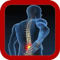 Back Pain Exercise on 9Apps