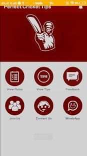 Perfect Cricket Tips screenshot 2