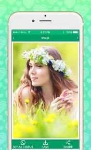 W Status Downloder screenshot 2