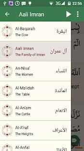 Quran in English (Only 7 MB) screenshot 18