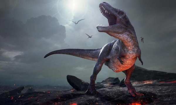 Hungry Trex : Dinosaur Games स्क्रीनशॉट 6