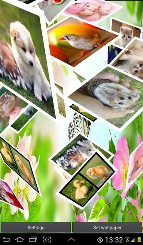 3D Photo Cube Live Wallpaper स्क्रीनशॉट 8