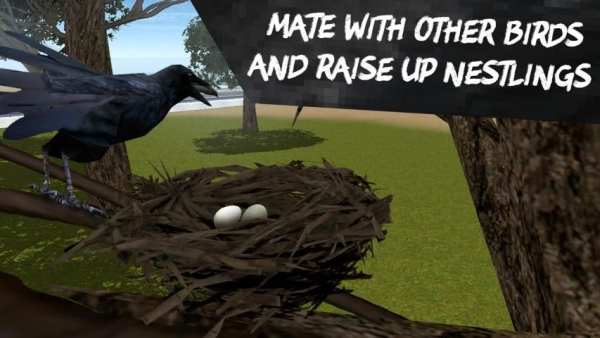 City Bird Crow Simulator 3D स्क्रीनशॉट 2