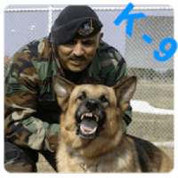 K9 Service Dogs Wallpapers on 9Apps