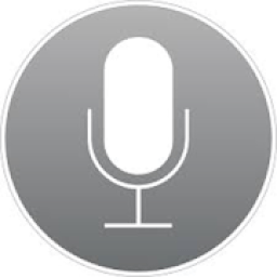 ikon Voice Search For Google