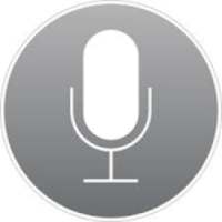 Voice Search For Google