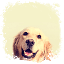 Dog Wallpaper icon