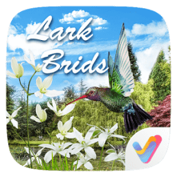 ikon Lark Birds Parallax V Launcher Theme