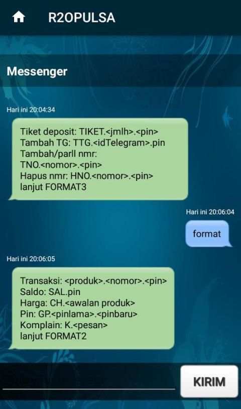 R2OPULSA скриншот 5
