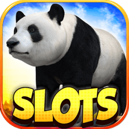 Panda Slot Machine Wild Game icon