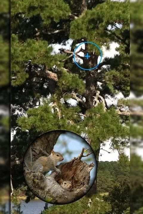Mega Zoom Camera Pro screenshot 3