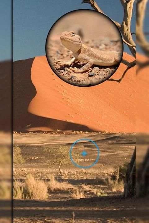 Mega Zoom Camera Pro screenshot 2