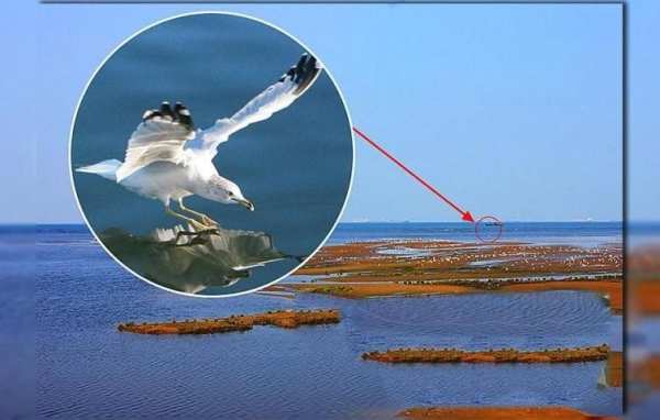 Mega Zoom Camera Pro screenshot 1