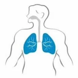 PHYSIOLOGIE RESPIRATOIRE icon