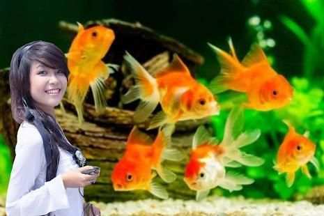 Aquarium Photo Frames New screenshot 2