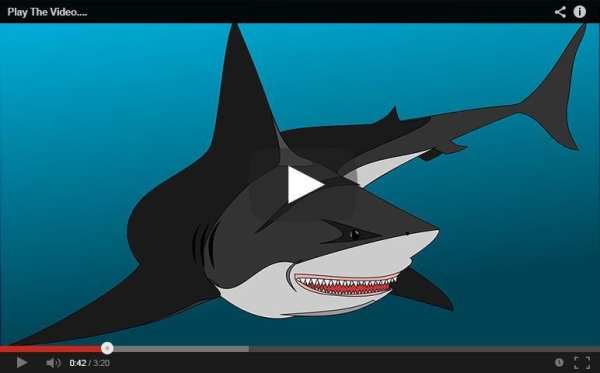 Baby Shark versi Vpin Ipin screenshot 1