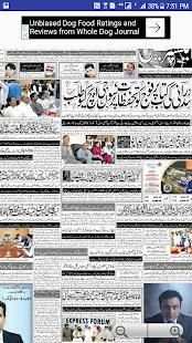 Daily Urdu Express Newspaper screenshot 3