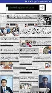 Daily Urdu Express Newspaper screenshot 2