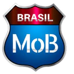 Mob Brasil Skins WTDS e Proton Bus 1.0
