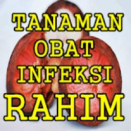 Ramuan Herbal Infeksi Rahim Cepat Dan Tuntas