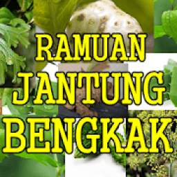 Ramuan Alami Jantung Bengkak Tanapa Efek Samping