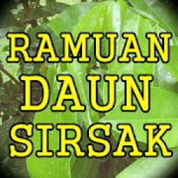 Ramuan Herbal Daun Sirsak Yang Terbukti Ampuh