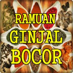 Ramuan Herbal Ginjal Bocor Manjur Khasiatnya