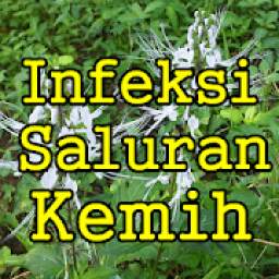 Jamu Infeksi Saluran Kemih Tanpa Efek Samping