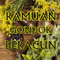 Ramuan Tradisional Untuk Mengobati Gondok Beracun