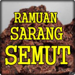 Ramuan Herbal Sarang Semut Papua Alami Lengkap