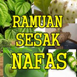 Jenis Ramuan Sesak Nafas Tradisional Paling Ampuh