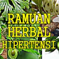 Ramuan Herbal Alami Mengatasi Hipertensi Lengkap